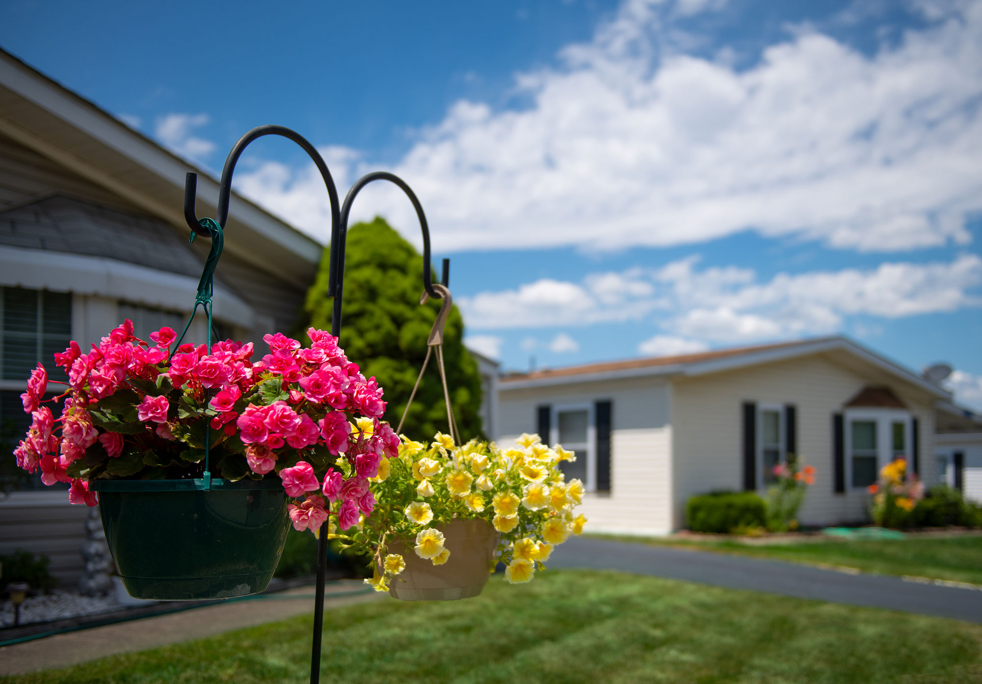 Village-of-Clover-Ridge_Exterior-Home-View